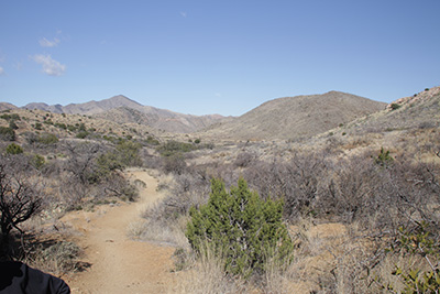 trail